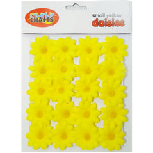 Load image into Gallery viewer, Crazy Crafts Daisies - 16pcs
