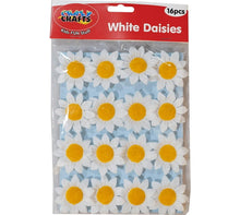 Load image into Gallery viewer, Crazy Crafts Daisies - 16pcs
