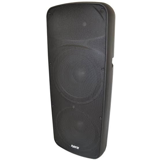 Hybrid Speaker PB215/N 13